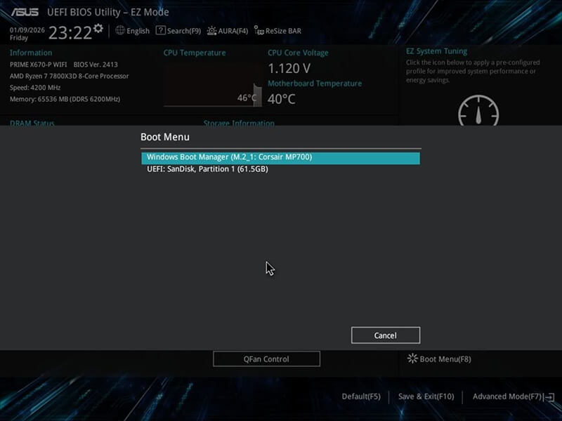 An image of the boot order settings in the BIOS.