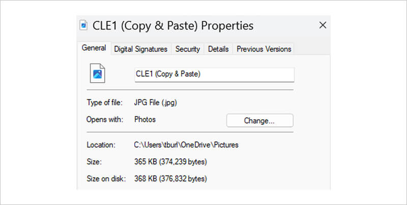 A screenshot showing the file size of a copied photo from Google Drive.