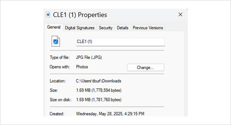 A screenshot showing the file size of the downloaded photo.